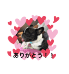 花子もも（個別スタンプ：2）