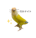 コザクラインコのマロン④（個別スタンプ：5）