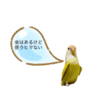 コザクラインコのマロン④（個別スタンプ：7）