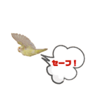 コザクラインコのマロン④（個別スタンプ：27）
