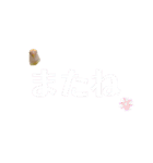 コザクラインコのマロン④（個別スタンプ：40）