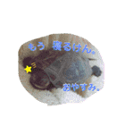 くさがめのジェリー日常で使えるスタンプ（個別スタンプ：4）