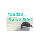 くさがめのジェリー日常で使えるスタンプ（個別スタンプ：16）