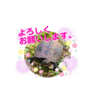 くさがめのジェリー日常で使えるスタンプ（個別スタンプ：31）