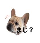 フレブルふぁむちⅣ（個別スタンプ：13）