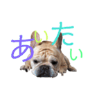 フレブルふぁむちⅣ（個別スタンプ：15）