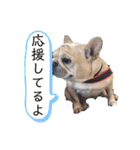 フレブルふぁむちⅣ（個別スタンプ：16）