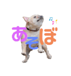 フレブルふぁむちⅣ（個別スタンプ：32）