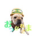 フレブルふぁむちⅣ（個別スタンプ：38）
