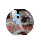 れおごろ3（個別スタンプ：3）