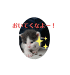 れおごろ3（個別スタンプ：4）