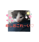 れおごろ3（個別スタンプ：5）