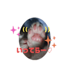 れおごろ3（個別スタンプ：7）