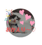 れおごろ3（個別スタンプ：8）