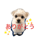 おこわスタンプ（個別スタンプ：2）