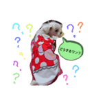ワンの気持ち♪（個別スタンプ：4）