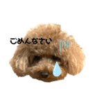 愛望ちゃんスタンプ（個別スタンプ：1）