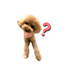 愛望ちゃんスタンプ（個別スタンプ：2）