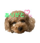 愛望ちゃんスタンプ（個別スタンプ：3）