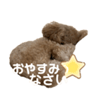 愛望ちゃんスタンプ（個別スタンプ：4）