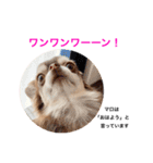 コムラのためのマロスタンプ（個別スタンプ：2）