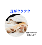 コムラのためのマロスタンプ（個別スタンプ：3）