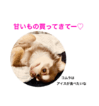コムラのためのマロスタンプ（個別スタンプ：12）