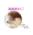 コムラのためのマロスタンプ（個別スタンプ：13）