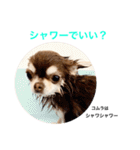コムラのためのマロスタンプ（個別スタンプ：15）