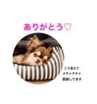コムラのためのマロスタンプ（個別スタンプ：20）