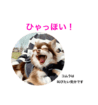 コムラのためのマロスタンプ（個別スタンプ：33）