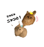 3ニャン1ワン（個別スタンプ：38）