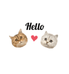 3ニャン1ワン（個別スタンプ：40）