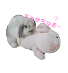 うさぎのメルちゃんの日常（個別スタンプ：1）