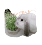 うさぎのメルちゃんの日常（個別スタンプ：2）