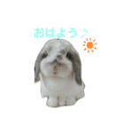 うさぎのメルちゃんの日常（個別スタンプ：7）