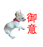 それ、ちくわ。（個別スタンプ：2）