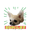 それ、ちくわ。（個別スタンプ：3）