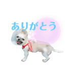それ、ちくわ。（個別スタンプ：4）