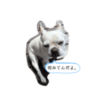 じゅりのきもち。（個別スタンプ：8）