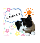 前田家の仲間達（個別スタンプ：8）