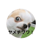 まーちゃんとしーちゃんスタンプ（個別スタンプ：2）