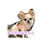 まーちゃんとしーちゃんスタンプ（個別スタンプ：10）