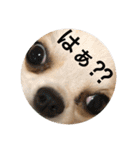 まーちゃんとしーちゃんスタンプ（個別スタンプ：21）