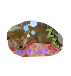 やんちゃきな子の挨拶しましょう♪（個別スタンプ：2）