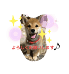 やんちゃきな子の挨拶しましょう♪（個別スタンプ：7）