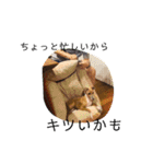 IG モネホーク（個別スタンプ：3）