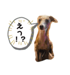 IG モネホーク（個別スタンプ：14）