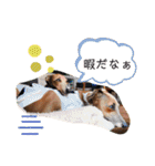 IG モネホーク（個別スタンプ：19）