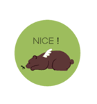 くまとちいさな友達（English）（個別スタンプ：7）